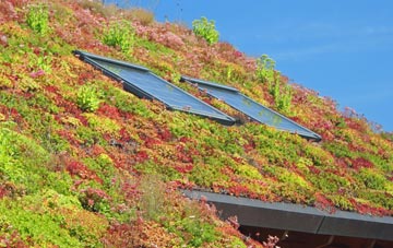 Foxdown living roof systems